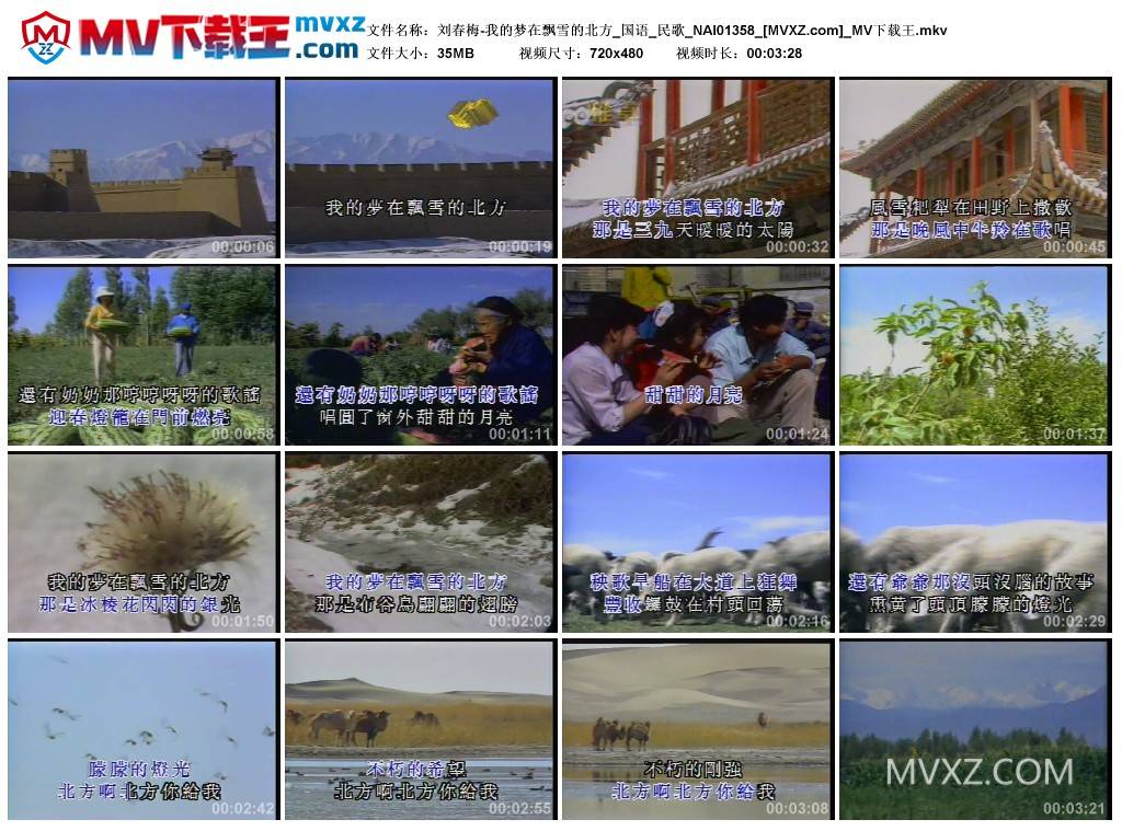 刘春梅-我的梦在飘雪的北方_国语_民歌_NAI01358